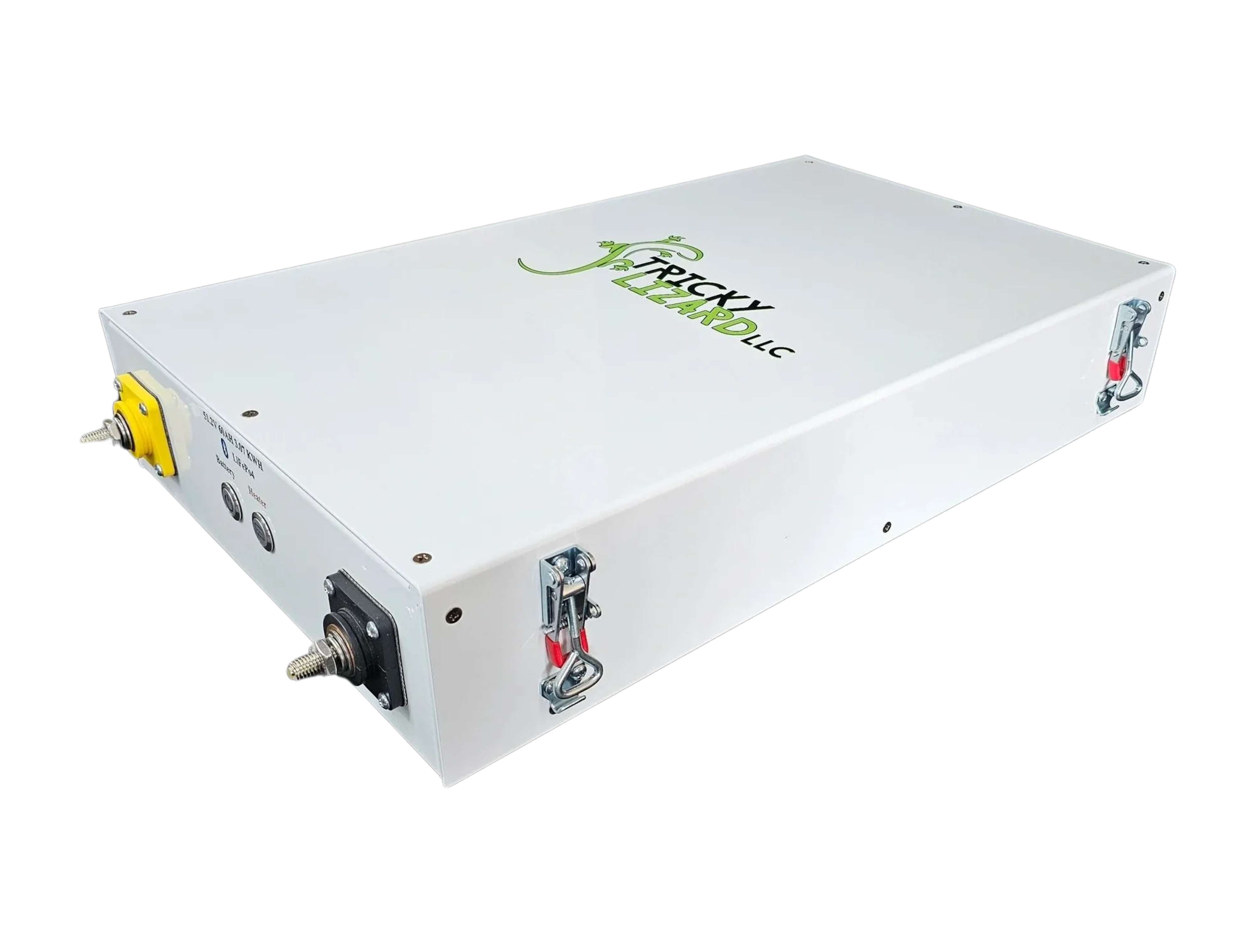48V 60AH 3.07 KWH LiFePO4 Battery